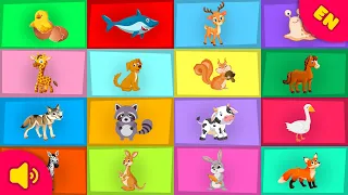 Animal Sound Song | These Are The Sounds That Animals Make | Original Songs For Kids