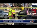 Man killed while trimming a tree in Winston-Salem
