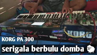 Download SERIGALA BERBULU DOMBA TANPA MELODI KORG PA 300 MP3