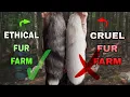 Watch BEFORE you BUY A TAIL HOW TO SPOT a fox tail from a CRUEL FUR FARM Tips for Therians
