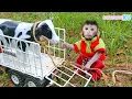 Download Lagu Cute Monkey Luby Goes Herding Cows in the Green Meadow