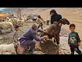 Download Lagu Grandfather and Narges' conflict: Did Narges know about the sheep being stolen?