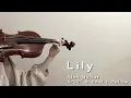 Download Lagu Alan Walker K-391 \u0026 Emelie Hollow - Lily - Violin Cover