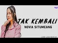 Download Lagu TAK KEMBALI - NOVIA SITUMEANG  LIRIK LAGU (VIDEO LIRIK)