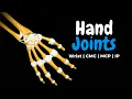 Wrist Hand Joints Radiocarpal Intercarpal CMC MCP IP Anatomy