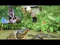 Download Lagu Single mother cleans house, takes care of abandoned child, catches giant fish, builds new house.