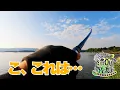 Download Lagu While fishing in the \