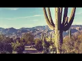 Hazy Summer Vibes II Hermanos Gutierrez Playlist