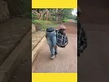 Download Lagu Kwai Funny tiktok: Funny Videos 2025 Chinese Funny Video 🤣 #shorts  #funny #comedy