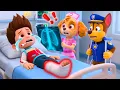 Lagu OMG.. What Happened to Ryder?? Please Help! PAW Patrol 3D Animation | Rainbow 3