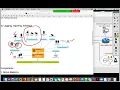 User-Id Concepts and Intro