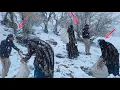 Lagu **Fighting the Snowstorm: Amir \u0026 Fatemeh’s Struggle for Survival in the Mountains**
