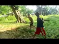wwe title holders 2023