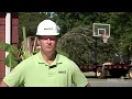 Process of Transplanting Planting Large Trees