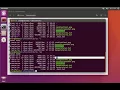 Count Number of Files In Folder