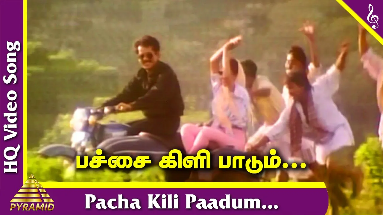 Karuthamma Tamil Movie Songs | Pacha Kili Paadum Video Song | Shahul Hameed | Minmini | AR Rahman