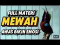 Download Lagu Pancingan konin gacor full bongkar materi kasar !! Masteran Kolibri ninja isian tembakan mewah