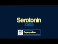 Download Lagu Zalza - Serotonin
