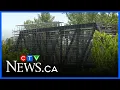 118-year-old bridge s move delayed CTV News Red Deer for Feb 26