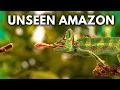 Download Lagu The Most Unbelievable Wonders of The Amazon Rainforest | Documentary