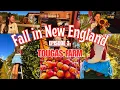 Download Lagu Fall in New England Episode 3: Apple Picking at Tougas Farm Vlog