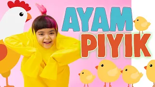 ayam piyik mazaya official music video 