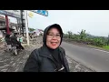 Download Lagu Warga Ikhlas Menerima Kebijakan KDM \u0026 Bupati Bongkar Bangli, Kini Perkebunan Teh Kembali Bersemi