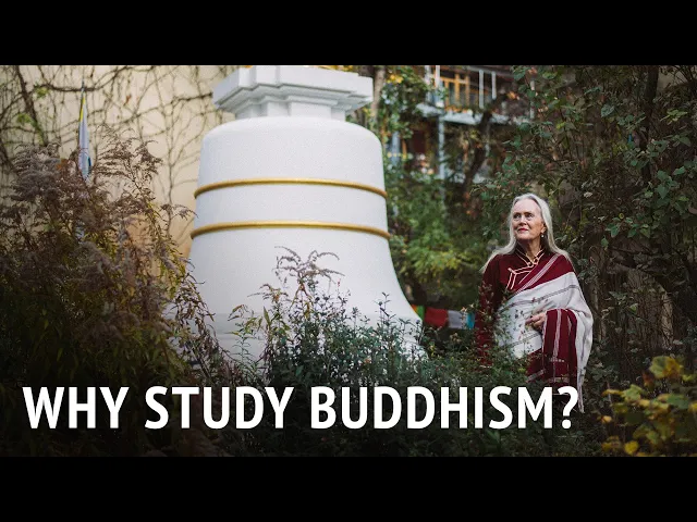 Why Study Buddhism? | Tsultrim Allione