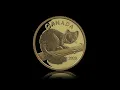 Download Lagu Pure Gold Coin – Curious Marten – Mintage: 3,000 (2023)