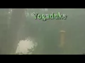 "Rain" 8 hours of "Rain Sounds"    "Sleep Sounds" ASMR