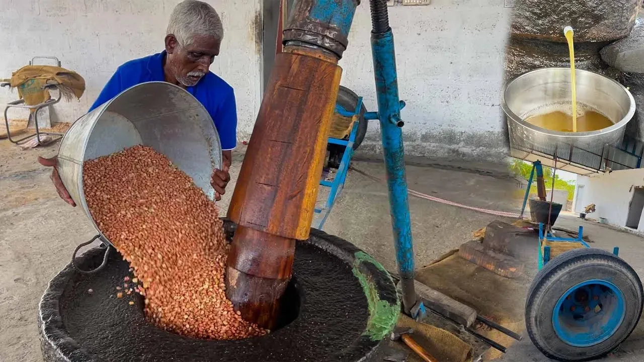 Whole Process of Traditional Peanut Oil Extraction   Wood Pressed Oil Extraction