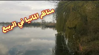 غيرك ولا حبيت بس انت الاختاريت انتا حبيبي جديد 2022 اصيل هميم 