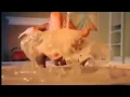 Twerking turkey happy thanksgiving