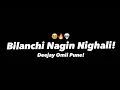 Download Lagu Bilanchi Nagin Nighali- _ बिलांची नागीण निघाली_ - (Competition High Gain) - Deejay omii pune