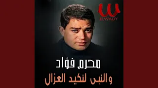 والنبى لنكيد العزال                         دندنها