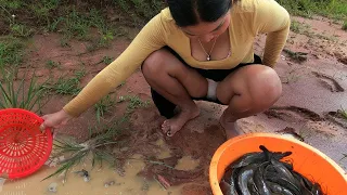 spicy fishing amazing finding u0026 catching fish a lot of by hand