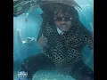 Richard Millie Plain - Gunna