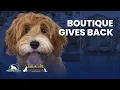 Dayton Humane Co Designer Finds That Actually Help Animals