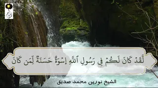 لقد كان لكم في رسول الله إسوة حسنة تلاوة رائعة الشيخ نورين Nurain Shorts 