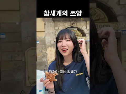 참새계의 쯔양...?😅