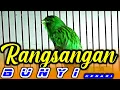 Download Lagu CUITAN KENARI UNTUK MERANGSANG KENARI PAUD AGAR CEPAT BUNYI DAN GACOR NGEDUR PANJANG