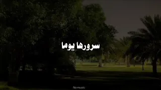 ومر ت الأيام وذابت الأحلام هذه هي الدنيا سيل من الاوهام فارس حميده 