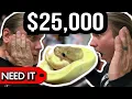 20 vs 25 000 BALL PYTHON What s the DIFFERENCE BRIAN BARCZYK