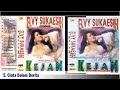 Download Lagu 004. Elvy Sukaesih \