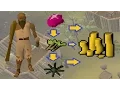 OSRS Trading Sticks Karambwans Guide