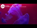 DJ Khaled - You Stay (Lyrics) Ft  Meek Mill, J Balvin, Lil Baby & Jeremih
