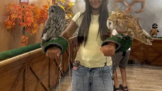 حققنا سبع امنيات بمناسبة السبع مليون مشترك 