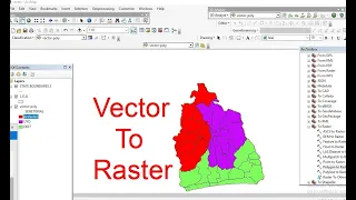 Polygon to Raster Vector to Raster Shapefile to Raster in ArcGIS