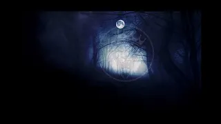 وعيوني سهارى ريمكس دندنها