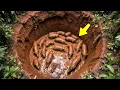 Download Lagu Momentos na Natureza Que Acontecem uma Vez em um Bilhão